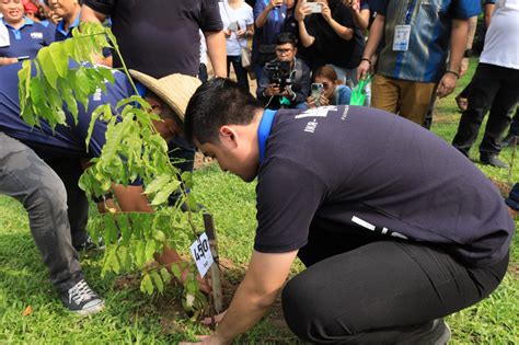 Ang kahalagahan ng pagtatanim ng mga puno .